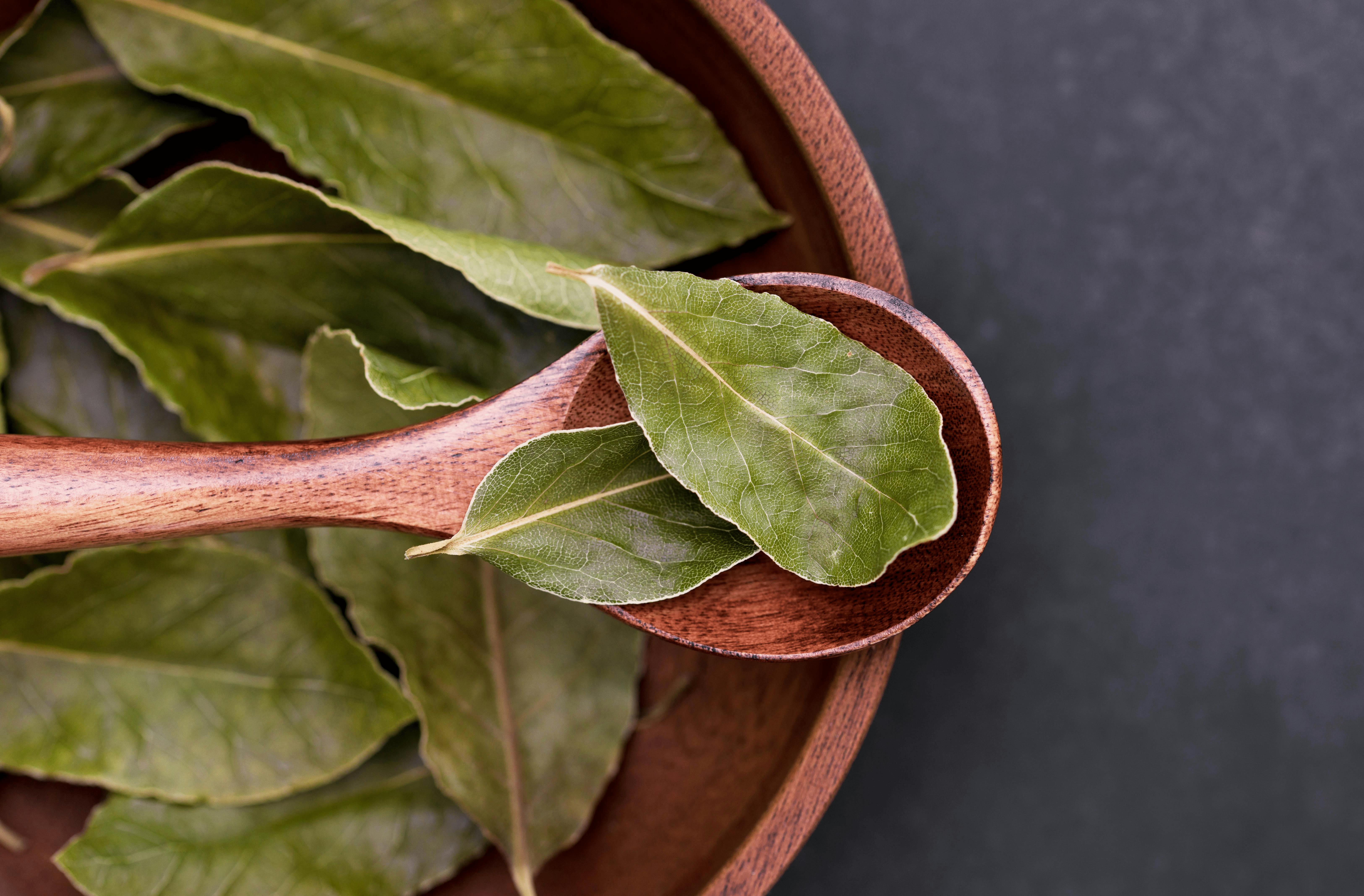 A banner image with bay leaves in it.